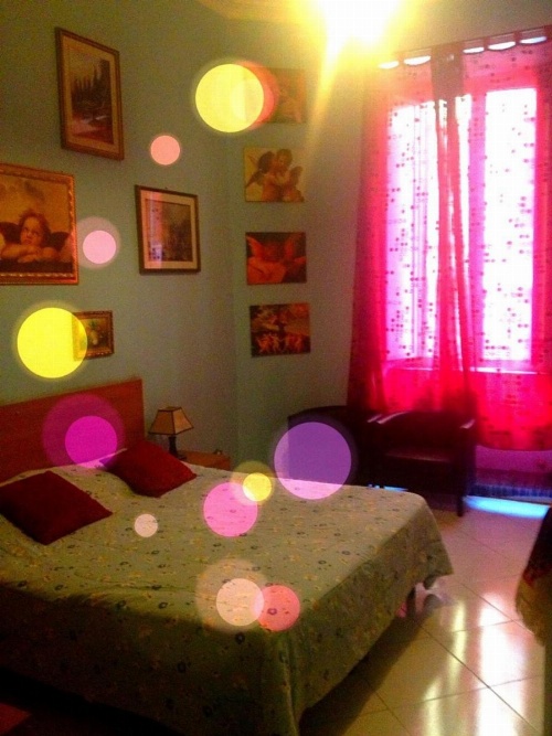 B&B Cappellini image 26