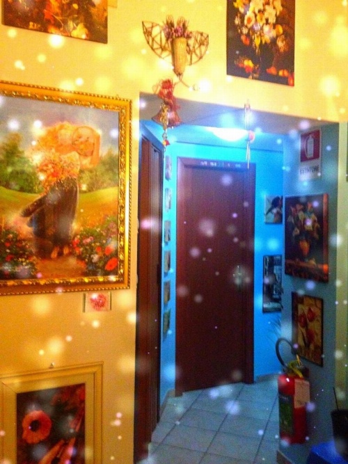 B&B Cappellini image 27